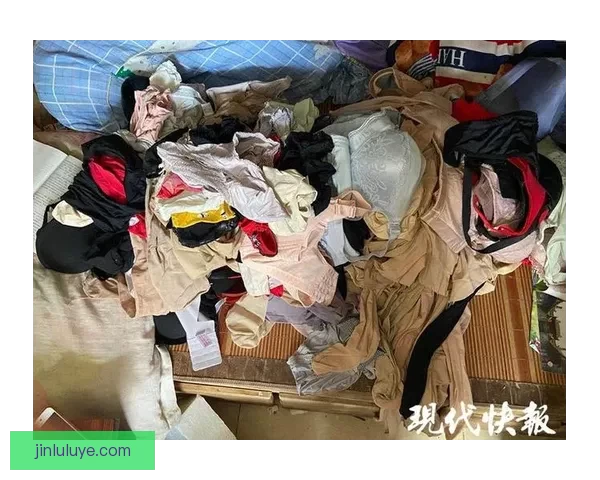 偷内衣论坛：背后隐藏的扭曲心理与社会隐忧